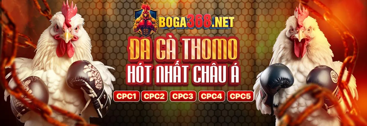 Hình ảnh Đối tác Bong88